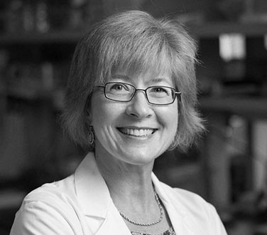 The Sontag Foundation Scientific Advisor Baker