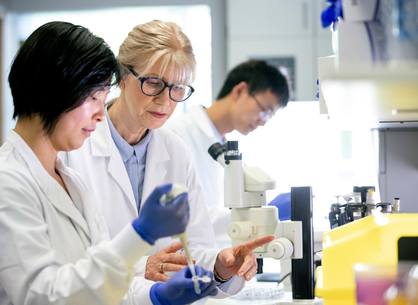 Brand photography for The Sontag Foundation